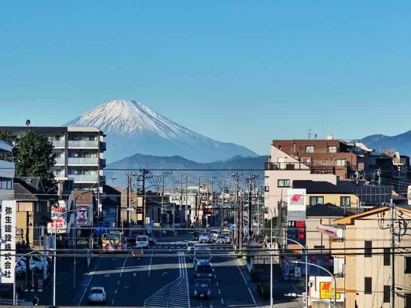 それいゆ　泉 その他