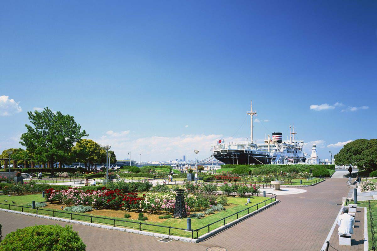 プロシード山下公園ザ・タワー 周辺